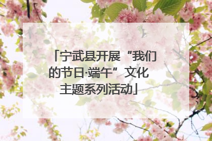 宁武县开展“我们的节日·端午”文化主题系列活动