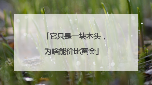 它只是一块木头，为啥能价比黄金