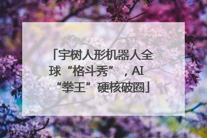 宇树人形机器人全球“格斗秀”，AI“拳王”硬核破圈