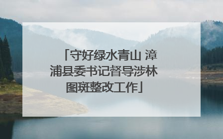 守好绿水青山 漳浦县委书记督导涉林图斑整改工作