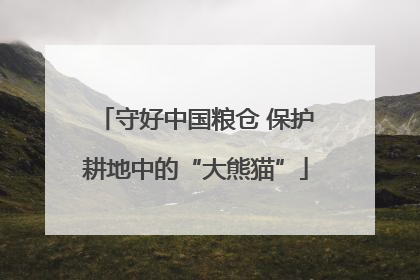 守好中国粮仓 保护耕地中的“大熊猫”