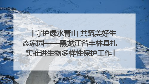 守护绿水青山 共筑美好生态家园——黑龙江省丰林县扎实推进生物多样性保护工作