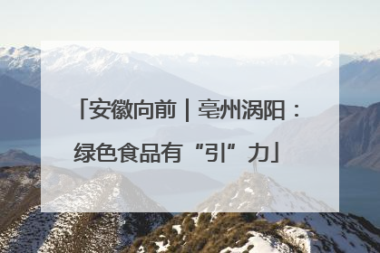 安徽向前｜亳州涡阳：绿色食品有“引”力