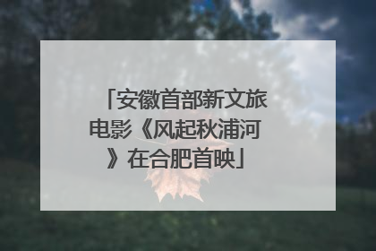 安徽首部新文旅电影《风起秋浦河》在合肥首映