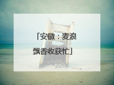 安徽：麦浪飘香收获忙