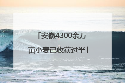 安徽4300余万亩小麦已收获过半