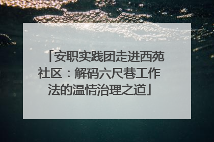 安职实践团走进西苑社区：解码六尺巷工作法的温情治理之道