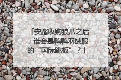 安踏收购狼爪之后，谁会是鸭鸭羽绒服的“国际跳板”？
