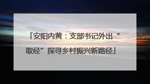 安阳内黄：支部书记外出“取经”探寻乡村振兴新路径