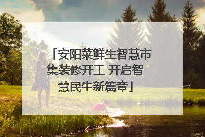 安阳菜鲜生智慧市集装修开工 开启智慧民生新篇章