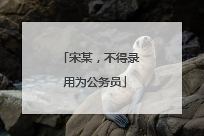 宋某，不得录用为公务员