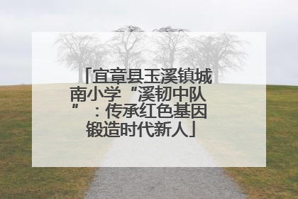 宜章县玉溪镇城南小学“溪韧中队”：传承红色基因 锻造时代新人