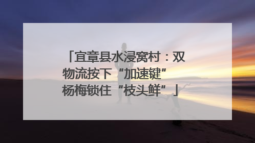 宜章县水浸窝村：双物流按下“加速键” 杨梅锁住“枝头鲜”