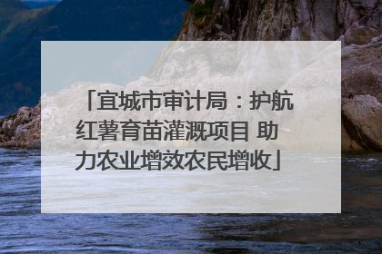 宜城市审计局：护航红薯育苗灌溉项目 助力农业增效农民增收