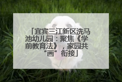 宜宾三江新区洗马池幼儿园：聚焦《学前教育法》，家园共“画”衔接