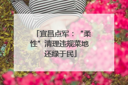 宜昌点军：“柔性”清理违规菜地 还绿于民