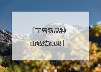 宝岛新品种 山城结硕果