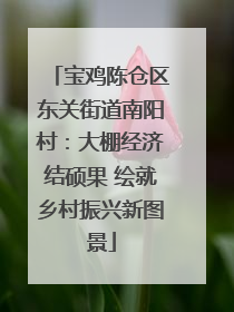 宝鸡陈仓区东关街道南阳村：大棚经济结硕果 绘就乡村振兴新图景