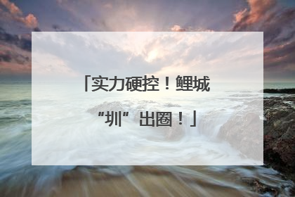 实力硬控！鲤城“圳”出圈！