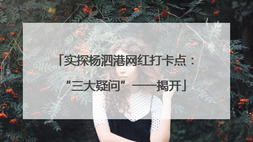实探杨泗港网红打卡点：“三大疑问”一一揭开