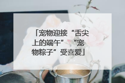 宠物迎接“舌尖上的端午” “宠物粽子”受喜爱