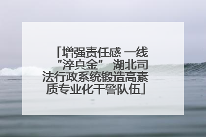 增强责任感 一线“淬真金” 湖北司法行政系统锻造高素质专业化干警队伍