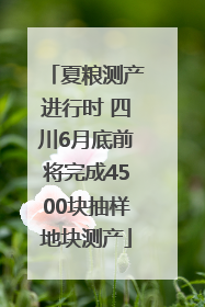 夏粮测产进行时 四川6月底前将完成4500块抽样地块测产