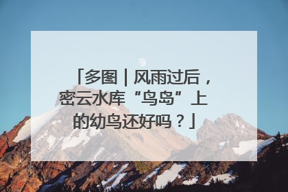多图｜风雨过后，密云水库“鸟岛”上的幼鸟还好吗？