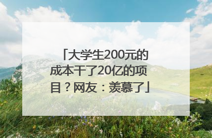 大学生200元的成本干了20亿的项目？网友：羡慕了