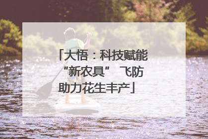 大悟：科技赋能“新农具” 飞防助力花生丰产
