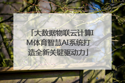 大数据物联云计算IM体育智慧AI系统打造全新关键驱动力