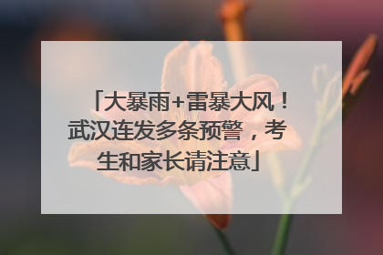 大暴雨+雷暴大风！武汉连发多条预警，考生和家长请注意