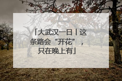 大武汉一日丨这条路会“开花”，只在晚上有