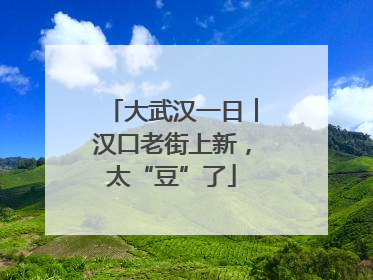 大武汉一日︱汉口老街上新，太“豆”了