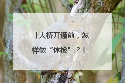 大桥开通前，怎样做“体检”？