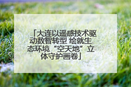 大连以遥感技术驱动数智转型 绘就生态环境“空天地”立体守护画卷