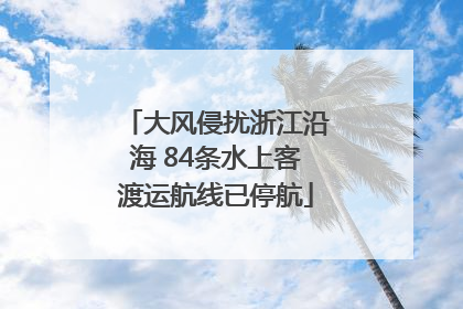 大风侵扰浙江沿海 84条水上客渡运航线已停航
