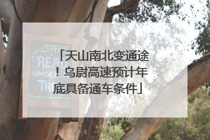 天山南北变通途！乌尉高速预计年底具备通车条件