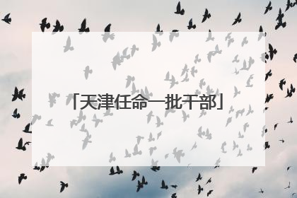天津任命一批干部