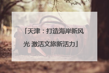 天津：打造海岸新风光 激活文旅新活力