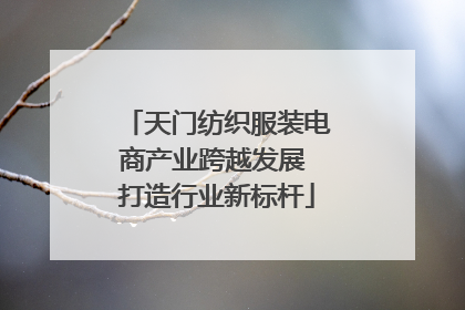 天门纺织服装电商产业跨越发展 打造行业新标杆