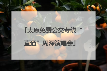 太原免费公交专线“直通”周深演唱会