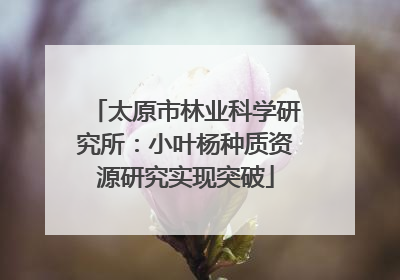 太原市林业科学研究所：小叶杨种质资源研究实现突破