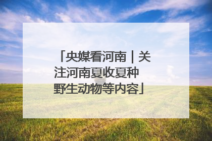 央媒看河南｜关注河南夏收夏种 野生动物等内容