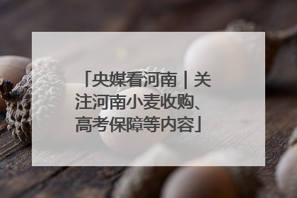 央媒看河南｜关注河南小麦收购、高考保障等内容