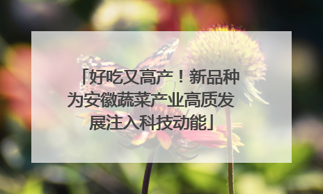 好吃又高产！新品种为安徽蔬菜产业高质发展注入科技动能
