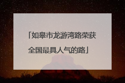 如皋市龙游湾路荣获全国最具人气的路