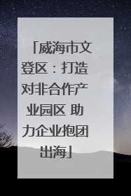 威海市文登区：打造对非合作产业园区 助力企业抱团出海