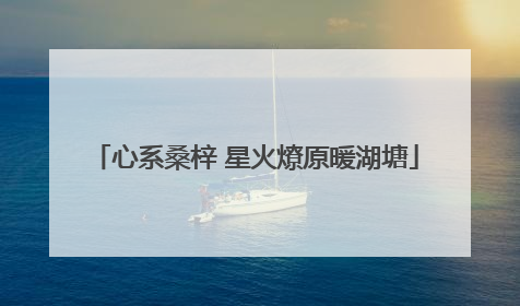 心系桑梓 星火燎原暖湖塘