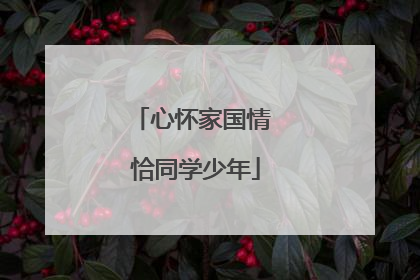 心怀家国情 恰同学少年